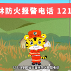 如何正确拨打森林防火报警电话12119