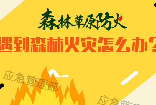 一图了解森林火灾防范避险自救攻略