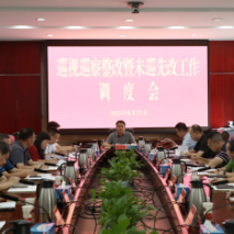 从严从实从快从细 抓好巡视巡察整改工作