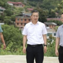 走基层 找问题 想办法 促发展 | 全面推进乡村振兴 打造宜居宜业和美乡村