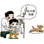不可忽视的狂犬病，这些事情你知道吗？