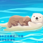 海洋保护，保护的不只是海洋