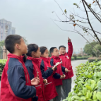 市三完小：探秘冬日植物，收获科学知识