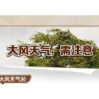 牢记这些防灾减灾科普知识，关键时刻能救命！收藏！