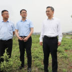开展“四下基层”调查研究 | 加强耕地保护 守住耕地“红线”