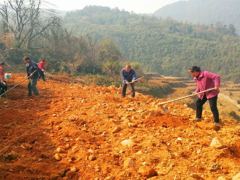 唐洞街道：栽下致富苗 撒种新希望