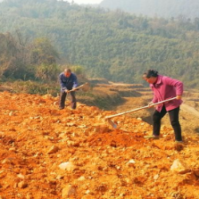 唐洞街道:栽下致富苗 撒种新希望