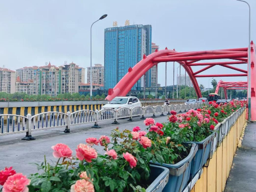 当好东道主 办好旅发会 | 绿化景观再提质！2万余盆花卉焕新城市风貌