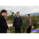 开展“四下基层”调查研究 | 落实整改 打好蓝天碧水净土保卫战