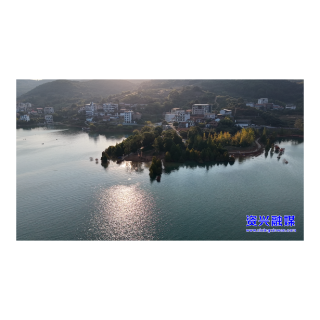 东江湖畔水杉渐红 湖光秋韵陶醉游人