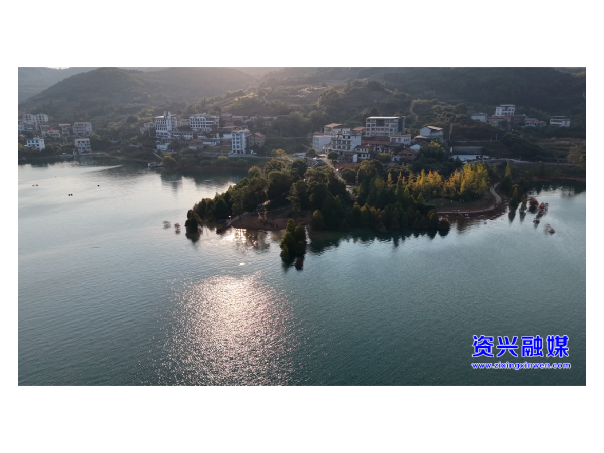 东江湖畔水杉渐红 湖光秋韵陶醉游人
