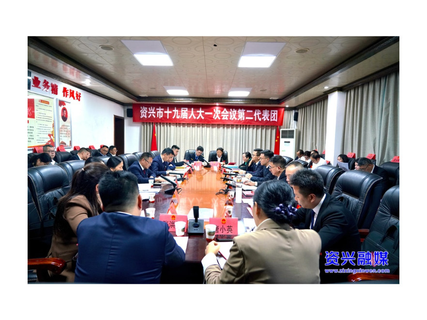 聚焦两会丨覃志名参加人大代表团分团审议