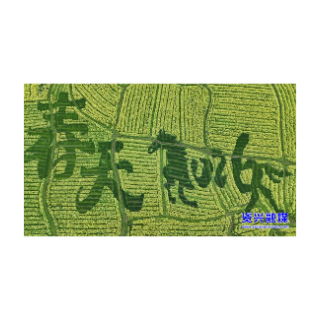 当好东道主 办好旅发会 | 蓼江镇第十三届油菜花旅游节3月10日启幕