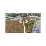 开局八好·兴城乡强区域丨三都镇：冰糖橙花香满园    “甜蜜事业”正当时