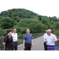 旅发进行时 ▏江波赴资兴市调研文旅项目建设工作