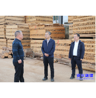 真抓实干 攻坚破题 全面推进乡村振兴