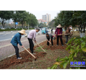 市园林服务中心：冬日绿植管护忙