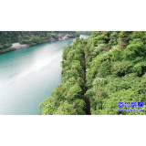 小东江东岸线：健康步道  打卡热点