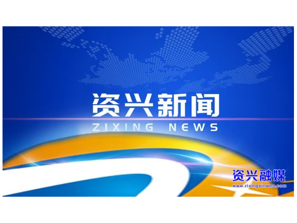 市委常委会召开2026年第4次会议
