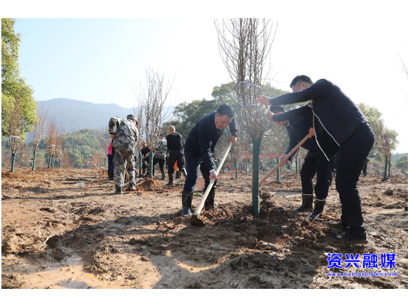 当好东道主 办好旅发会 | 植绿添绿兴生态 扮靓家园助旅发