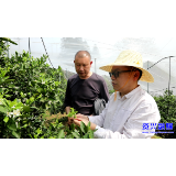 果农有需求,专家上门来!东江库区管理局“田间课堂”为农户解春耕难题