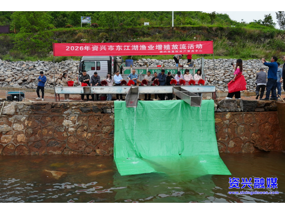 开局八好•重“双碳”促转型 | 90万尾鱼苗增殖放流 东江湖再添“新成员”