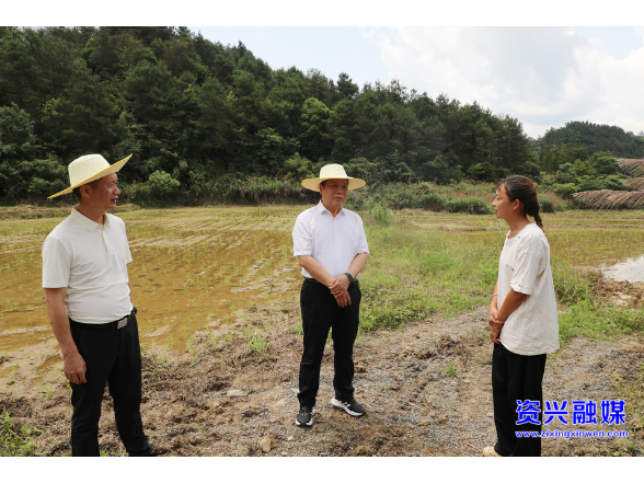 严守耕地红线 擦亮特色品牌 以农业产业提质增效赋能乡村振兴