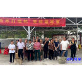 八面山瑶族乡:新米糍粑香 党群情更浓