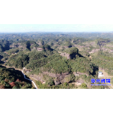 晴好天气持续 警惕森林火灾!