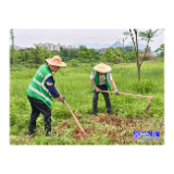 识破“生态杀手”！市园林绿化服务中心开展外来入侵物种专项整治  