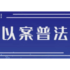 未成年人法律援助典型案例