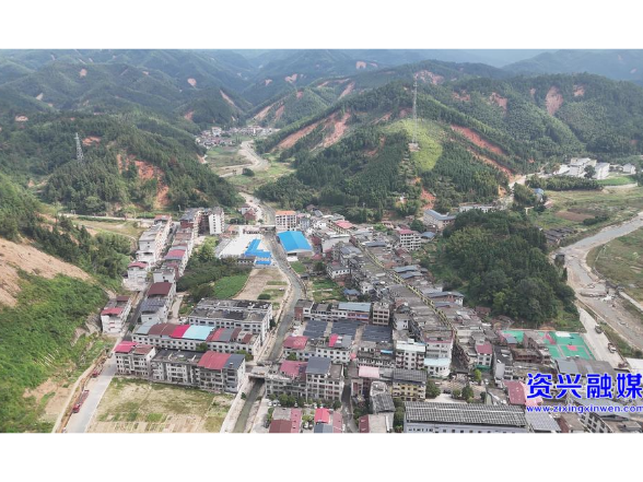  助力晚稻丰收  供销“引擎”全链条服务 