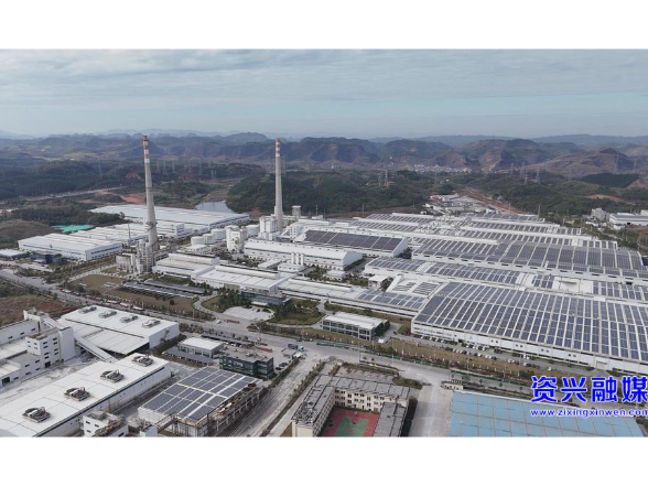 市商务局：贴心服务  助力外贸“扬帆出海”