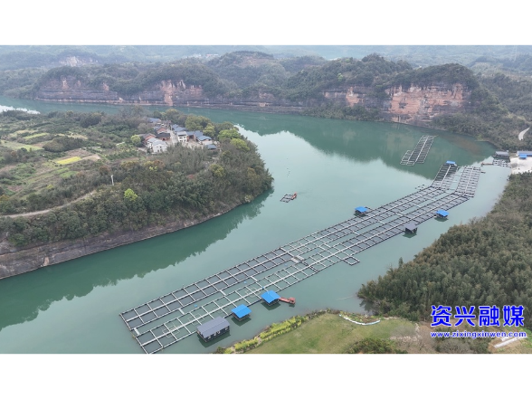 开局八好•兴城乡强区域 | 老渡口“游”出“致富鱼”