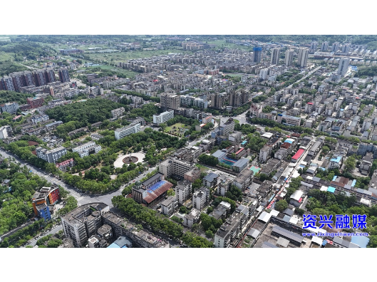 六大新行动·城市品位提升 | 精修绿障护民生 细琢市容焕新颜