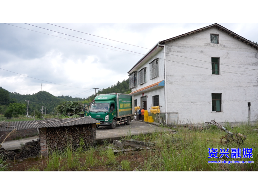 2000亩高山黄桃抢“鲜”上市  快递进村助“致富果”出山