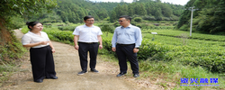 夯实安全根基 发展特色产业 助推乡村全面振兴