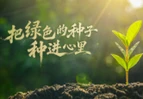 时政微视频丨把绿色的种子种进心里