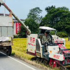 我市回龙山供销合作社入选全国典型经验案例
