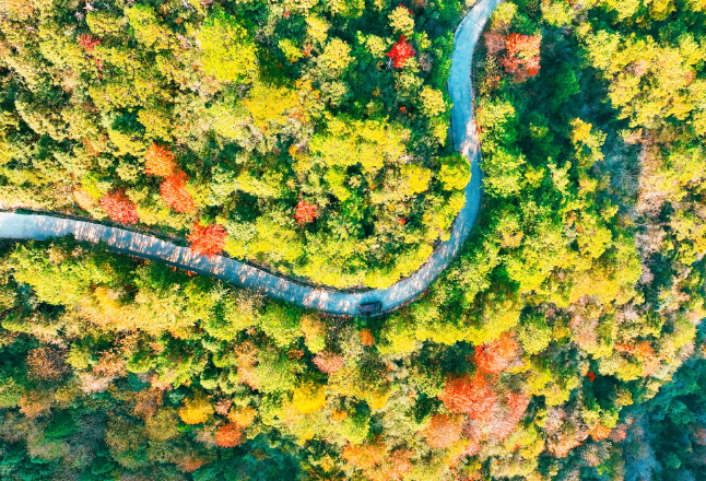 美在隆回丨大东山：万山红遍  层林尽染