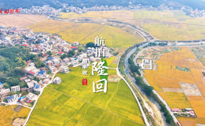 航拍隆回丨隆回高平：晚稻丰收景美如画