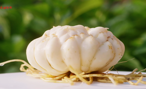 千年玉润  致富密码