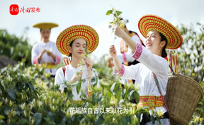这里是隆回，这里是中国金银花之乡和龙牙百合之乡！