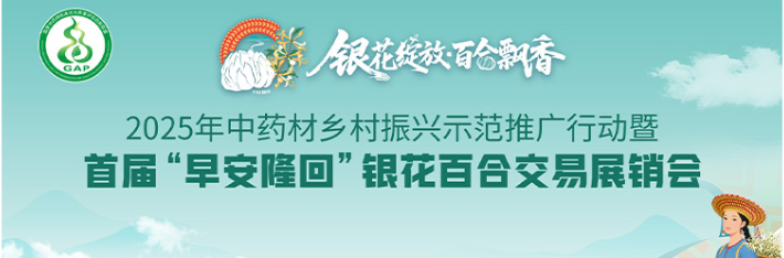 专题丨首届“早安隆回”银花百合交易展销会
