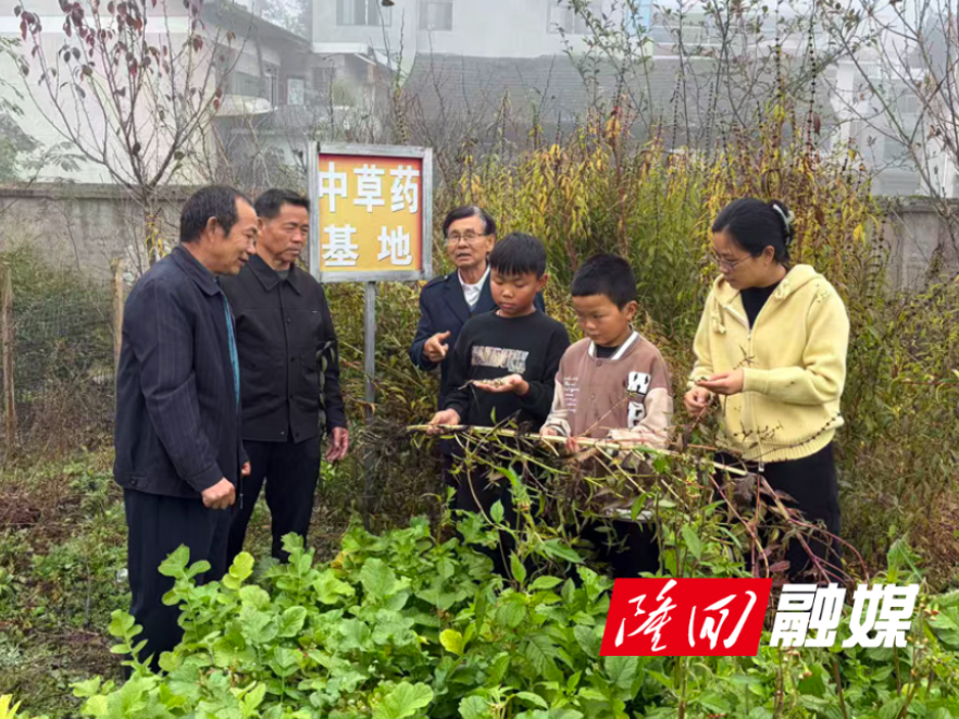 金石桥镇：党建引领聚合力 关工奉献结硕果