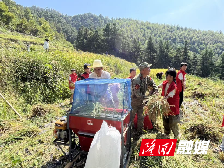 大水田乡香溪村党建引领产业志愿服务队开展秋收劳动实践活动
