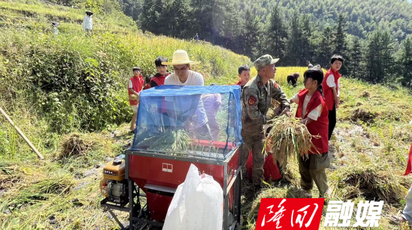 大水田乡香溪村党建引领产业志愿服务队开展秋收劳动实践活动