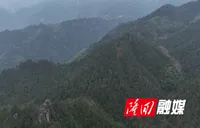 冬防“不松弦” 大水田乡织密9.5万亩林地防火安全网