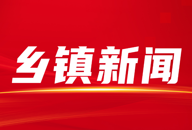 大水田乡：义诊下乡暖民心 健康服务零距离
