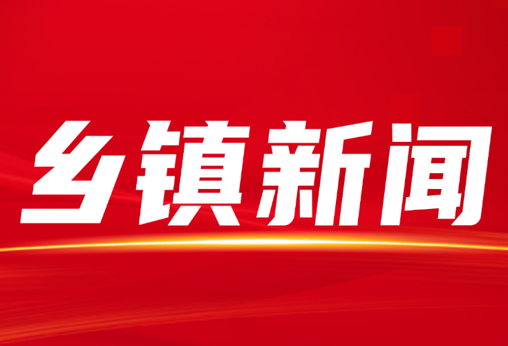 岩口镇召开离退休干部2026新春茶话会